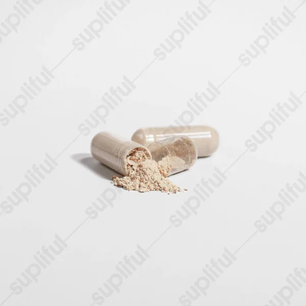 Lion's Mane Mushroom - Image 2